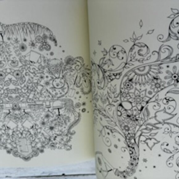 Secret Garden Treasure Hunt and Coloring Book - Picture 2 of 7